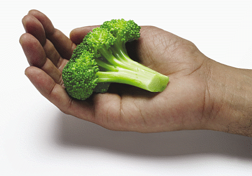 wp-broccoli_super_food